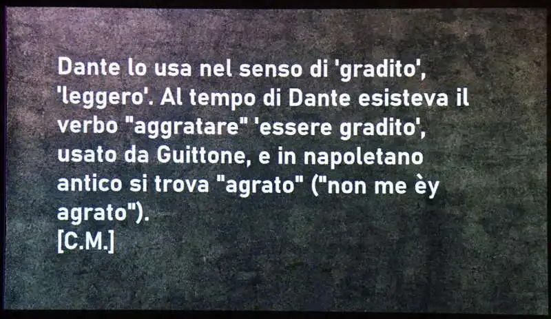 la parola di dante   accademia della crusca (4)