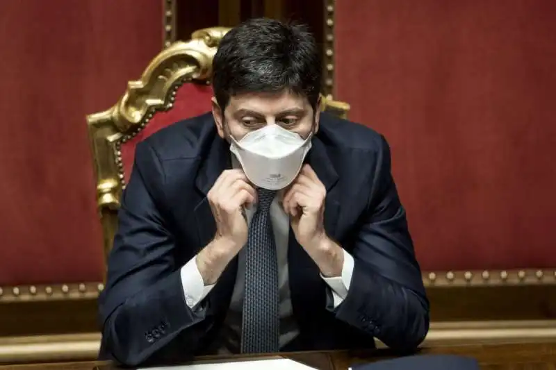 roberto speranza al senato 1