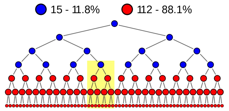 SCHEMA PONZI