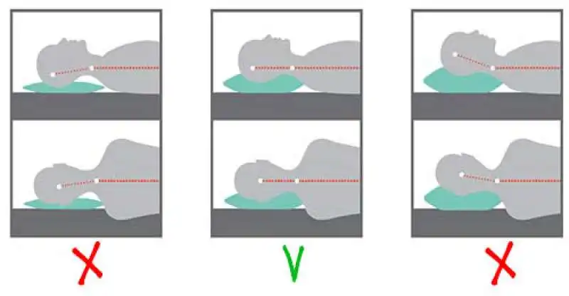 supporto colonna vertebrale cuscino