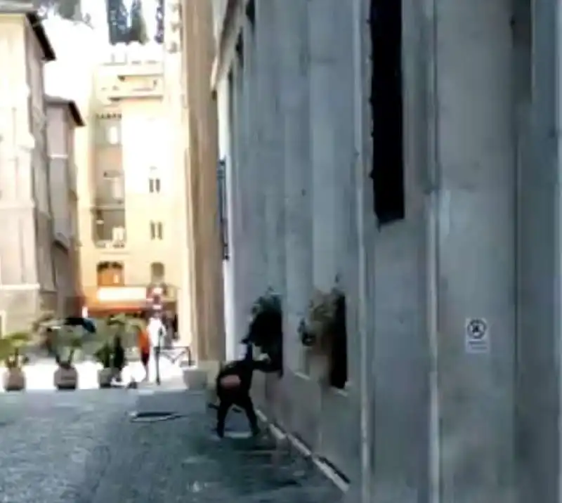 uomo la fa in mezzo alla strada a roma 3