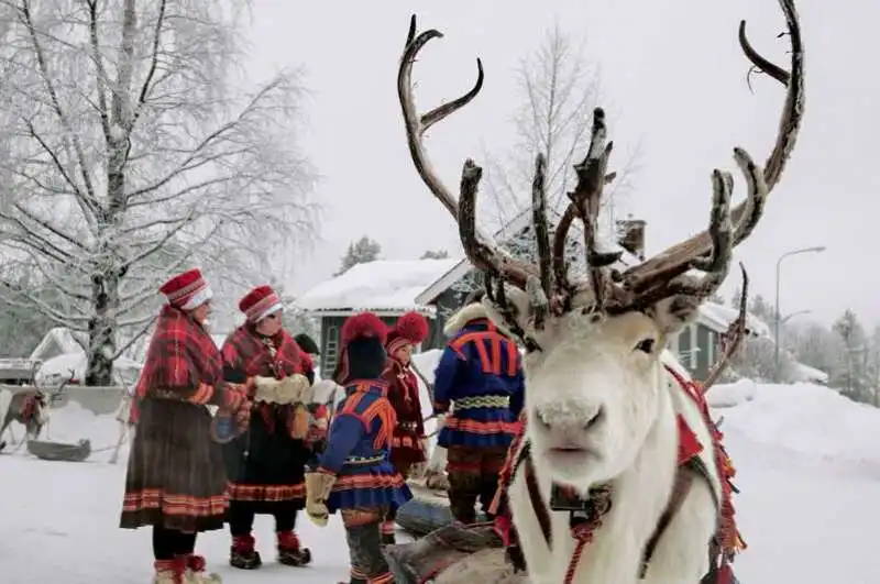 ALLEVAMENTO DI RENNE IN FINLANDIA 