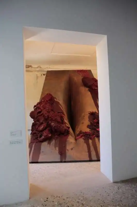 Anish Kapoor - Palazzo Manfrin 14