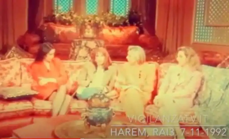 lilli gruber e catherine spaak ad harem 11