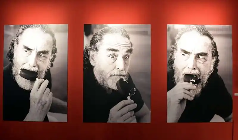 mostra per il centenario nascita di vittorio gassman   (15)