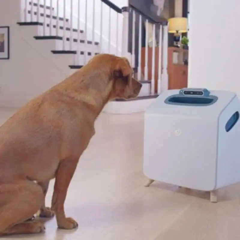 COMPANION LA TATA ROBOT PER I CANI 