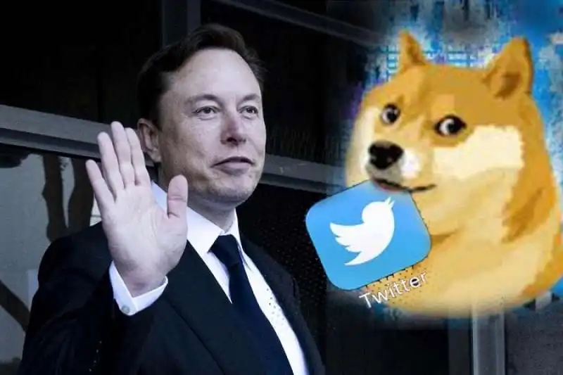 elon musk dogecoin 1