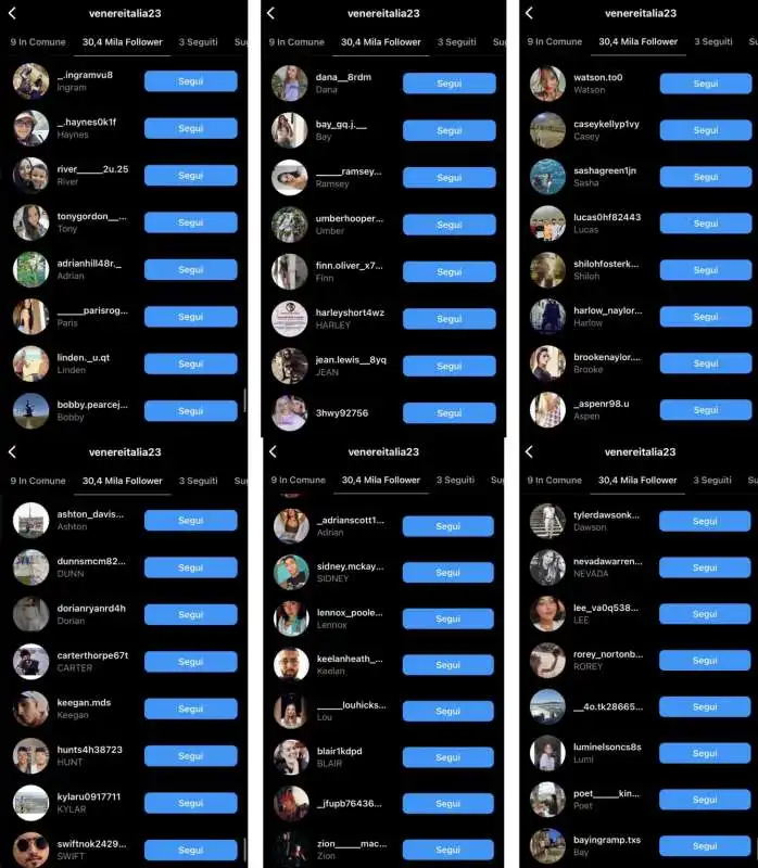 I PRESUNTI FINTI FOLLOWER  DELLA CAMPAGNA OPEN TO MERAVIGLIA 