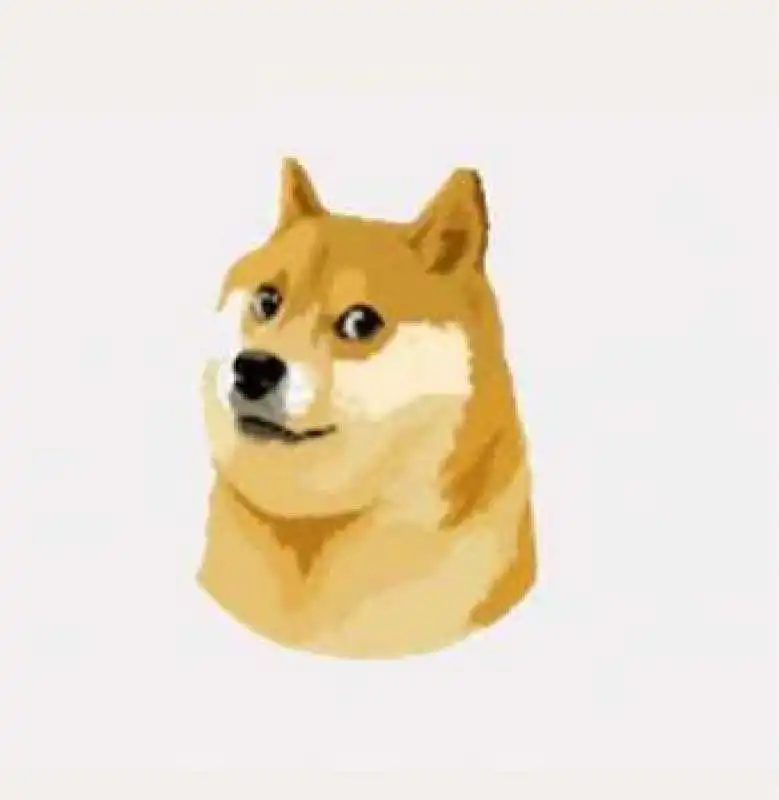 il logo di dogecoin 