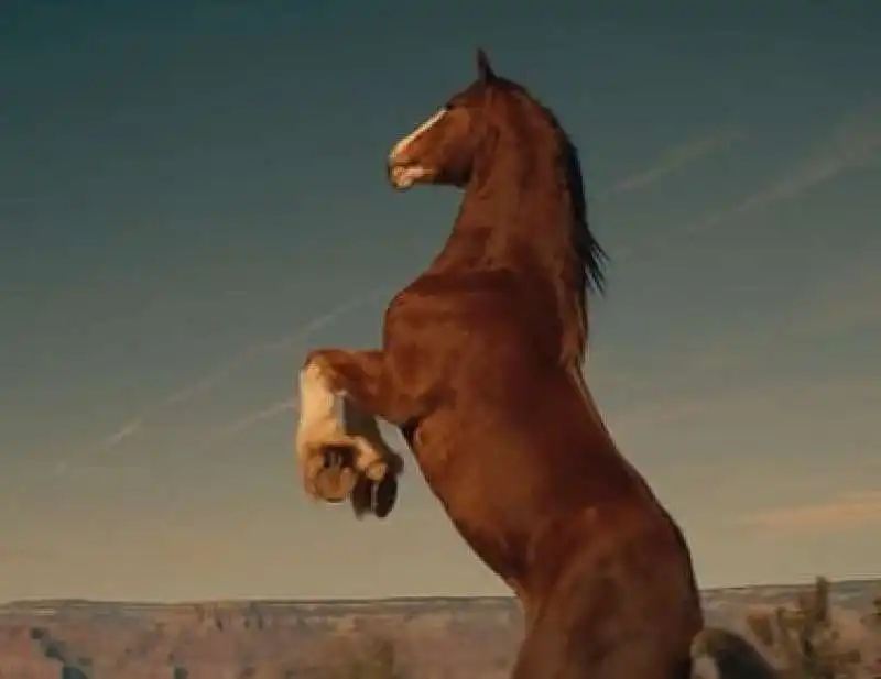 le spot patriottico della budweiser 1