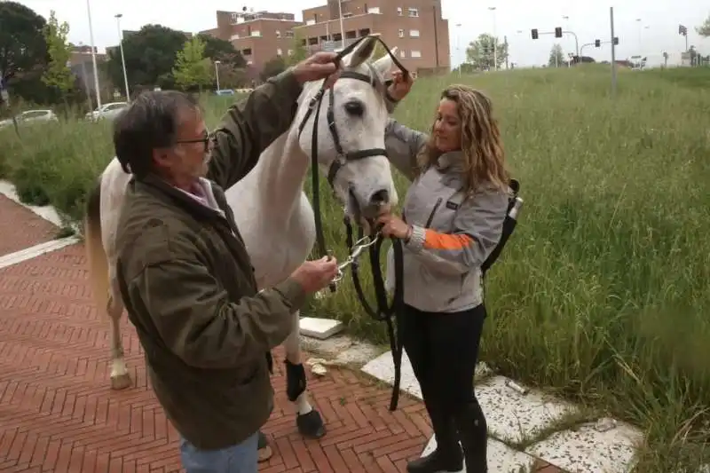 tabita gurioli va a lavoro a cavallo 2