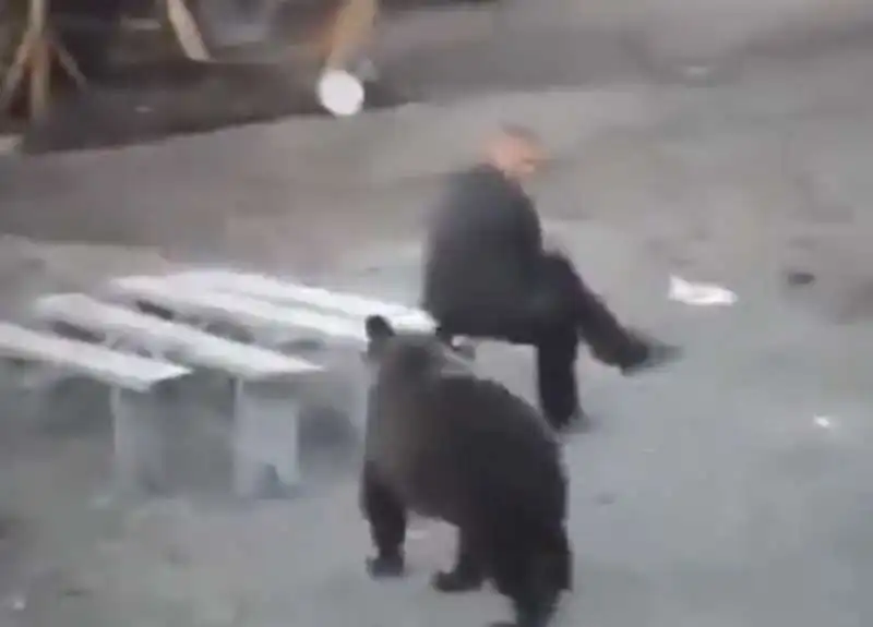 uomo incontra un orso in russia 3