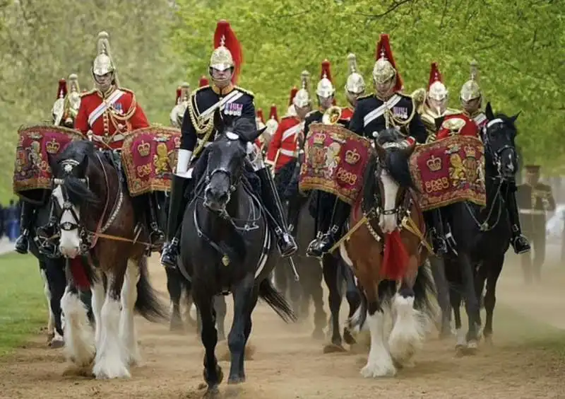 household cavalry 