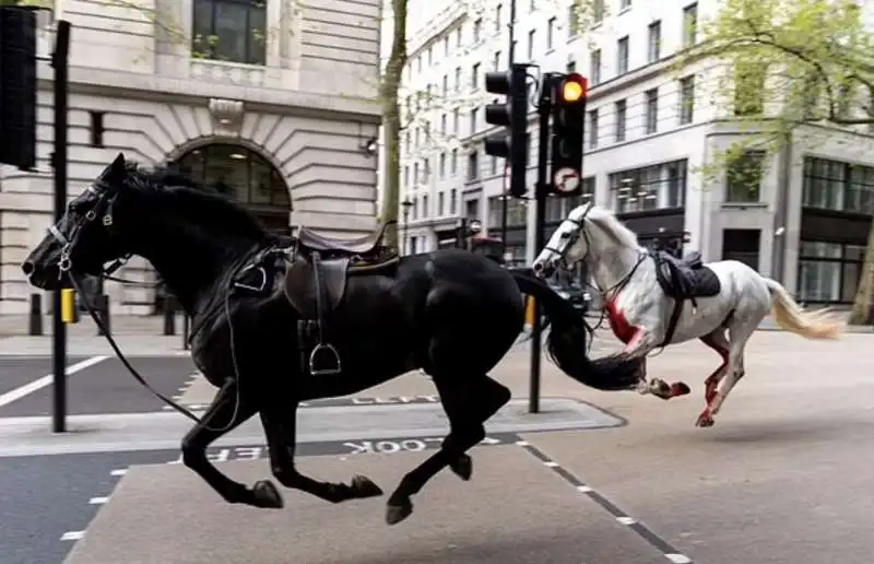 la fuga dei cavalli della household cavalry a londra