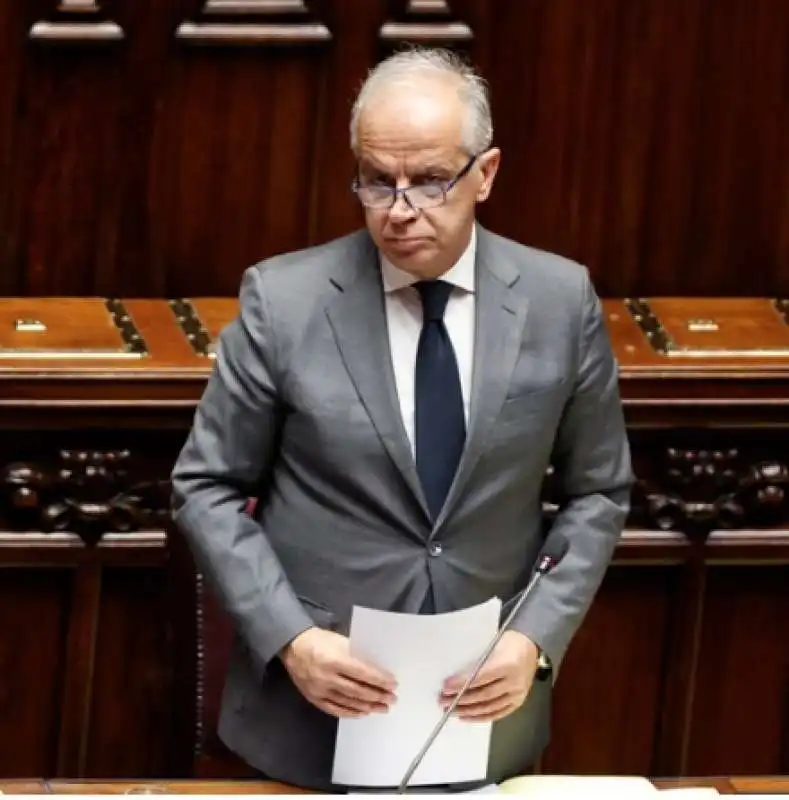 MATTEO PIANTEDOSI AL SENATO