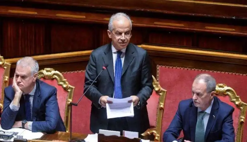 MATTEO PIANTEDOSI AL SENATO