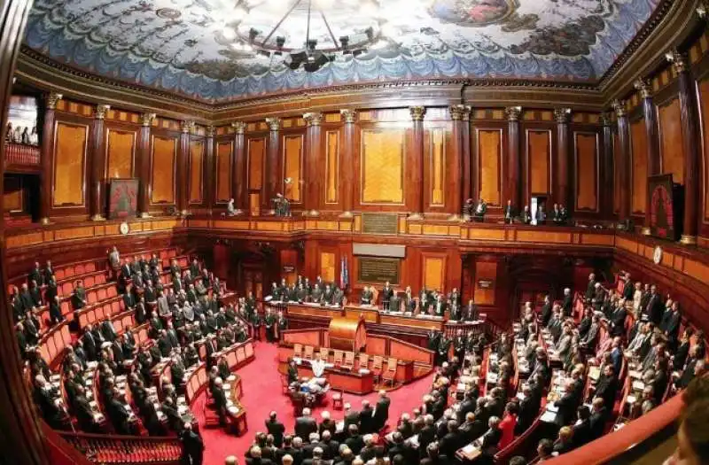 SENATO DELLA REPUBBLICA