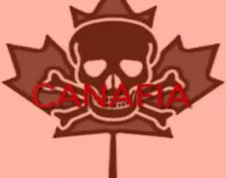 canafia mafia canadese jpeg