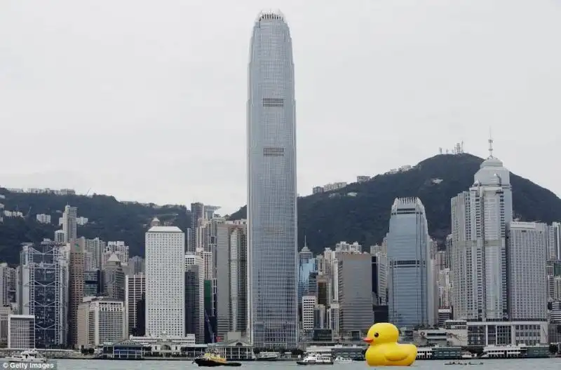 LA PAPERELLA GIGANTE DELLARTISTA OLANDESE HOFMAN AL PORTO DI HONG KONG 