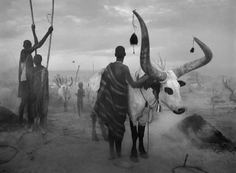 SEBASTIAO SALGADO - GENESIS