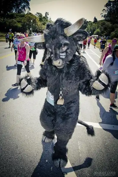 BAY TO BREAKERS FOTO DI MICHAEL CUFFE 