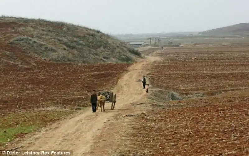 Campagne in Corea del Nord 