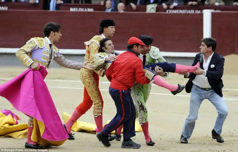 incidente del torero a Las Ventas di MAdrid 