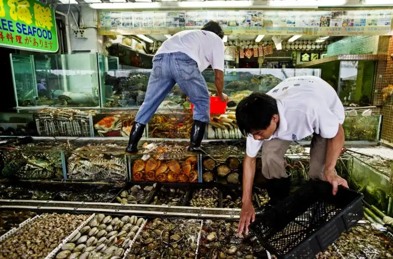 mercato ittico a Hong Kong 