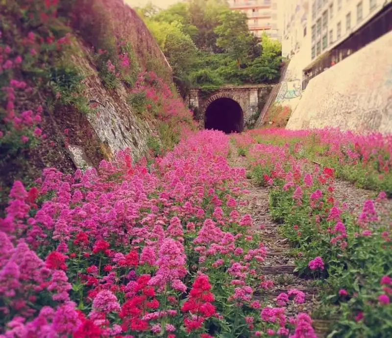 16.1. ferrovia di petite ceinture, francia