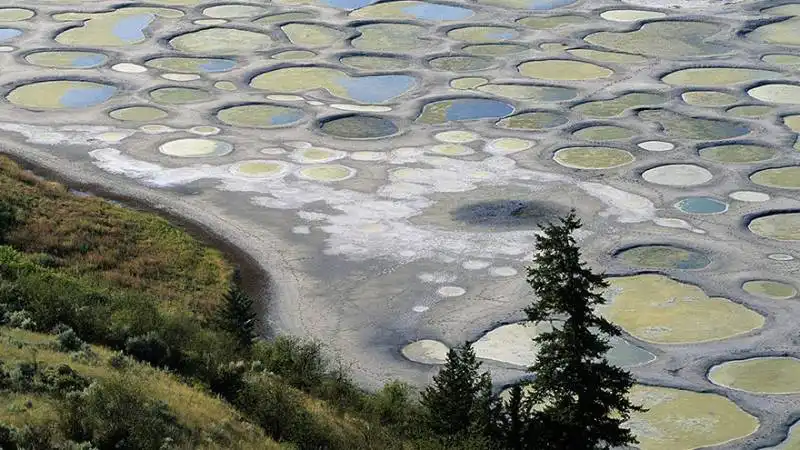 #25 spotted lake, canada