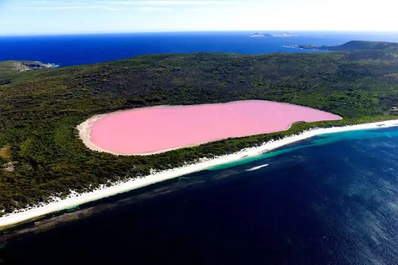 #28 lake hillier, australia