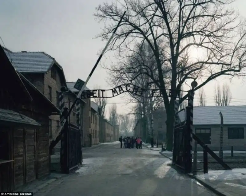 auschwitz