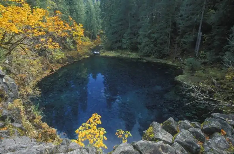 blue pool