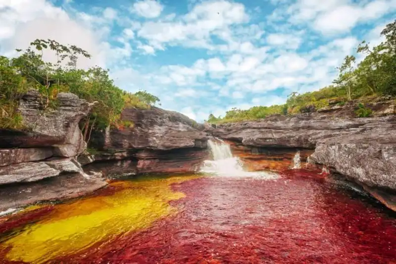 cano cristales