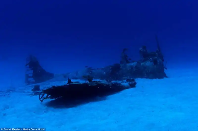 douglas sbd dauntless