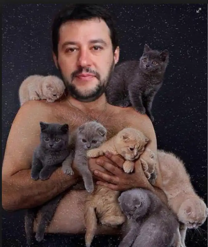 GATTINI PER SALVINI 