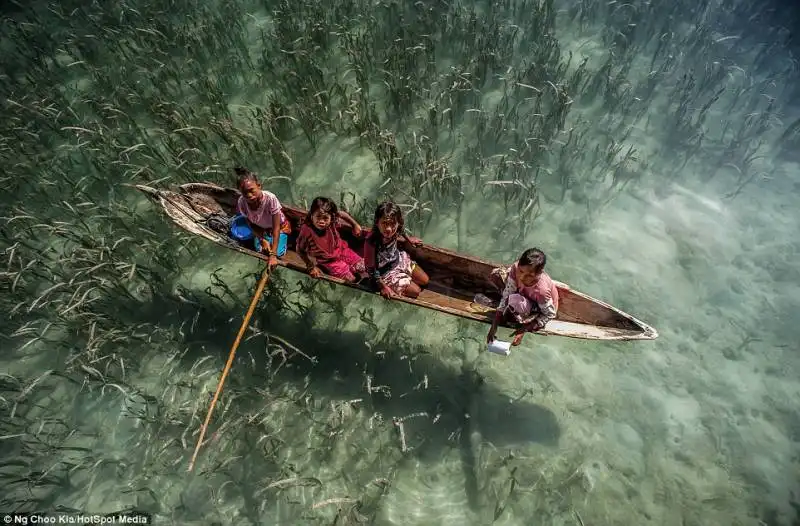 invece del mal di mare, i bajau soffrono il mal di terra quando abbandonano l'oceano