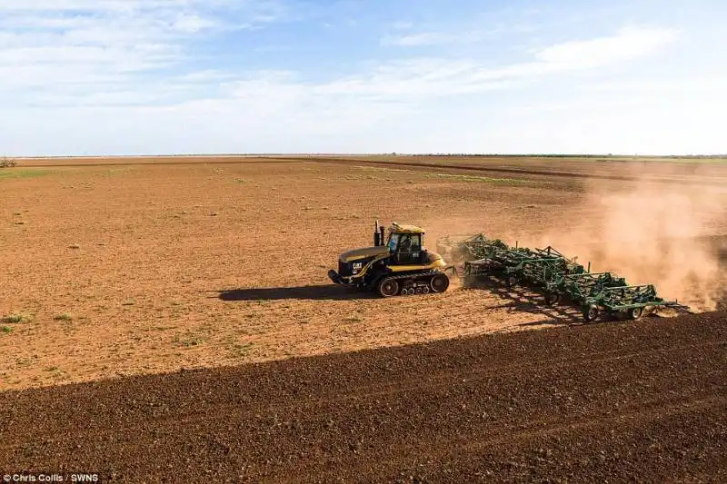 lavoro nei campi del waggoner ranch