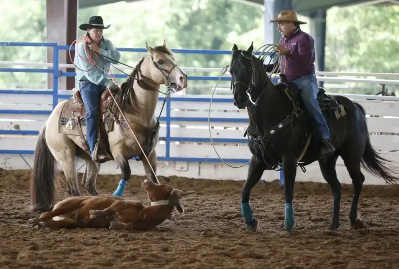 rodeo gay a little rock