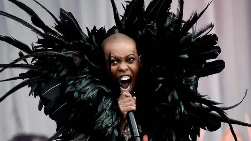 skin skunk anansie