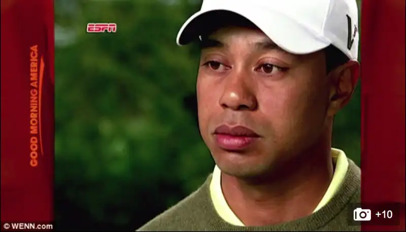 tiger crying