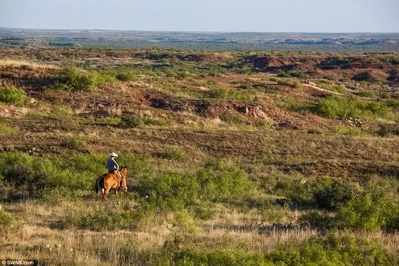 un cowboy cavalca per la tenuta