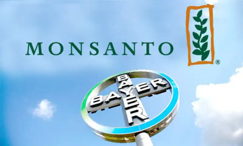 bayer  monsanto