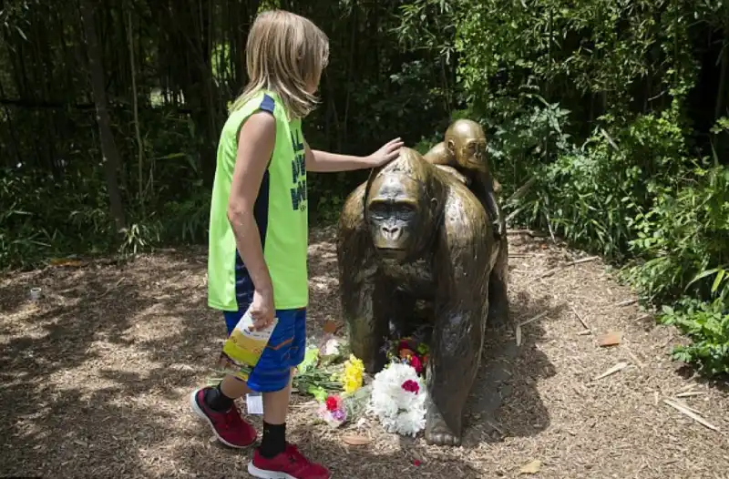 fiori in memoria di harambe