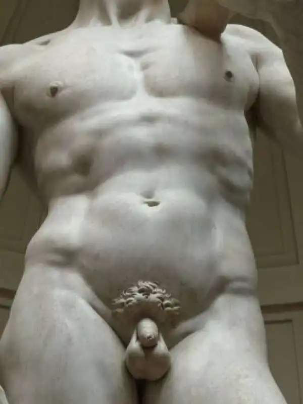 genitali del david di michelangelo