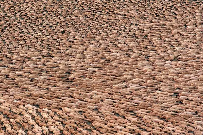 il mare nudo di spencer tunick