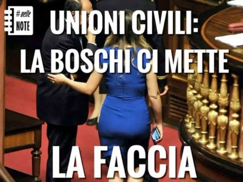 il meme dei cattolici anti boschi e unioni civili