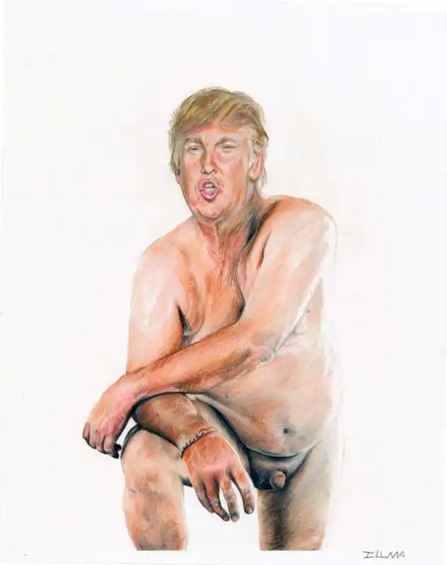 il quadro del micropene di trump