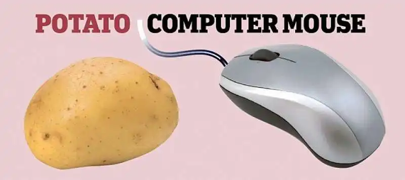 mouse patate