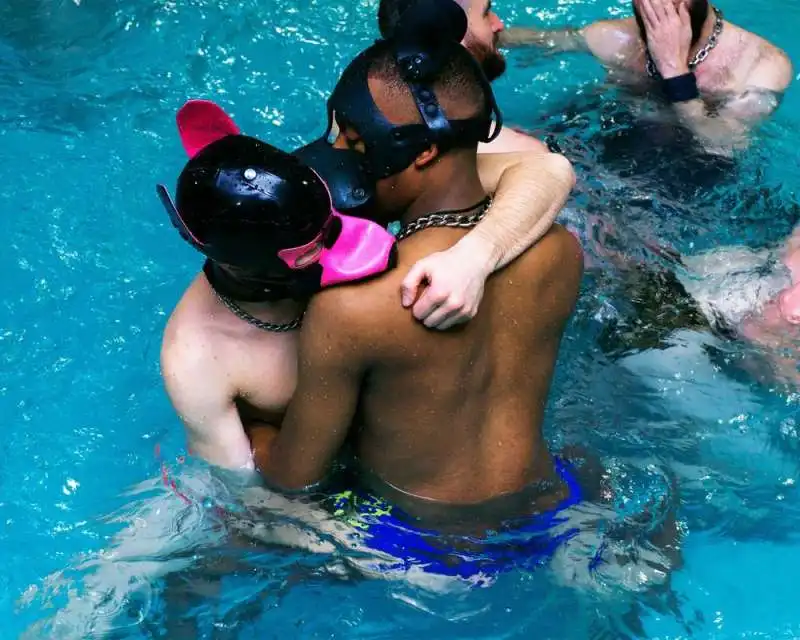 puppy pool party